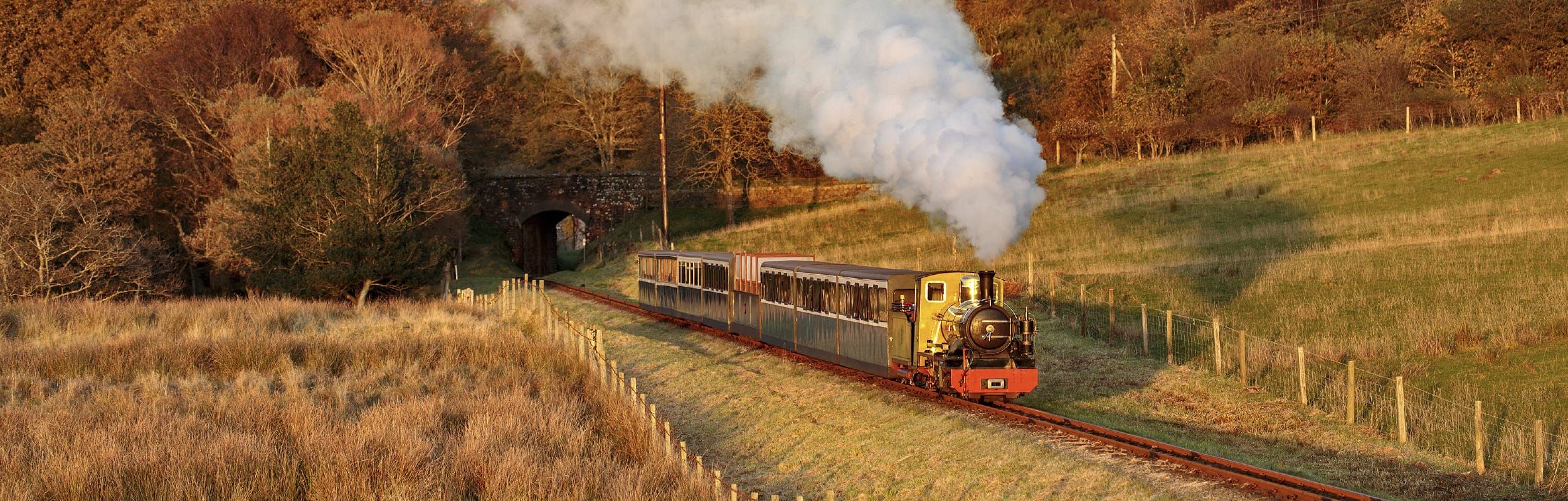 Heritage engine Northern Rock hauling a train on the Ravenglass and Eskdale railway in the Autumn