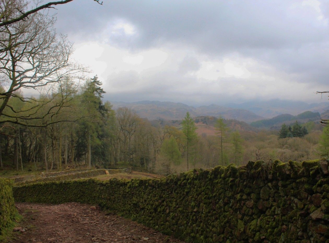 Conservation initiatives running in the Western Lake District