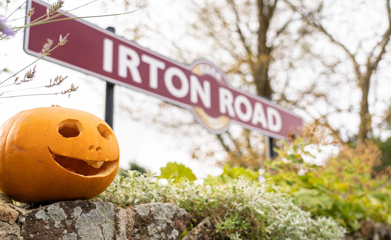 Halloween at the Ravenglass and Eskdale Railway