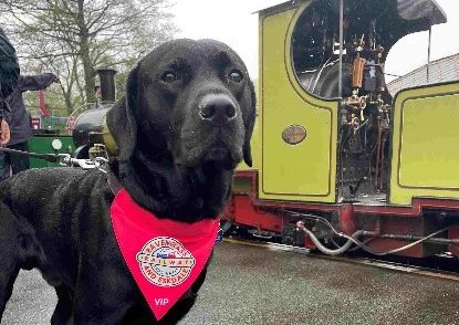 Extra-special dog upgrades, including new ‘Rover’ season tickets for more paw-some adventures.