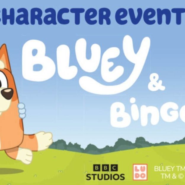 We're delighted to announce that we'll be welcoming a first visit from Bluey and Bingo later in 2024. 
-
The event will include personal appearances from Bluey and Bingo at set intervals on each day in the Museum, a return trip on the railway and Teddy Mo